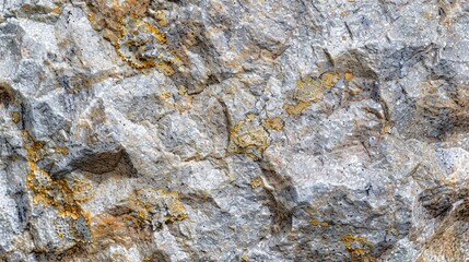 Close up Detailed View of Stone Texture Including Granite Marble and Travertine