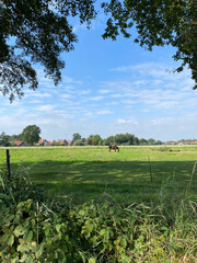 Peaceful rural landscape with a horse grazing in a lush green field. Clear blue sky and distant...