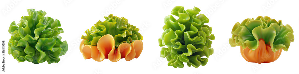Wall mural Soft Smooth Lettuce Hyperrealistic Highly Detailed Isolated On Transparent Background Png File - Wall murals