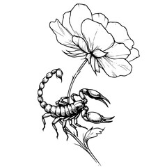 Scorpio and flower