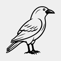 vector illustration of bird icon, isolated, black and white