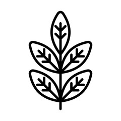 Fenugreek leaves line icon