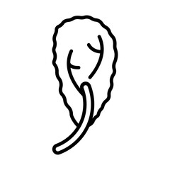 Swiss chard line icon