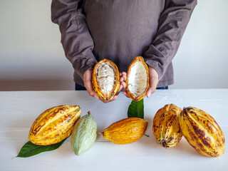 Healthy lifestyle, Cut in half fresh yellow ripe cacao pods reveals cacao beans, slide cacao fruit...