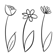 Three Simple Line Art Flowers Drawing