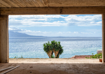 Square View of Turquoise Blue Sea with Palm Tree through Doorway