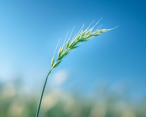 A single blade of grass reaching towards the sky, symbolizing the simple beauty and resilience of nature