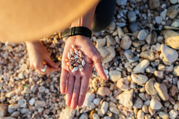 girl sits on the beach and collects various shells in her hand. girl's hands with shells close-up.