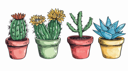 Cactus and succulents Four. Four plants in pots flora