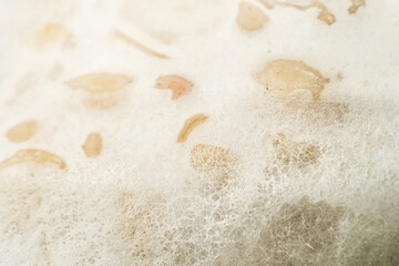 Macro photography of tempeh with white rhizopus. Tempeh is a traditional Indonesian food made from fermented soybeans and special yeast mold. Concept for vegetable protein and plant based food. © Rizky