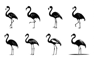 Flamingo Silhouettes Vector art Set, Flamingo bird black Silhouette Clipart bundle