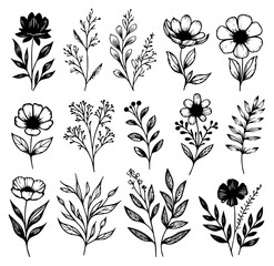 Set of Detailed Monochromatic Black And White Hand Drawn Floral And Botanical Illustration Elements