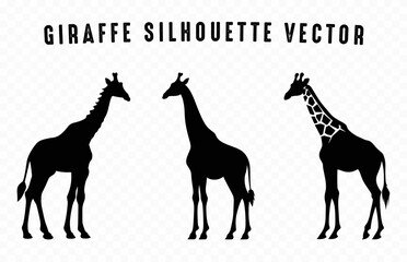 Giraffe Silhouettes Vector art Set, Giraffe black Silhouette Clipart bundle