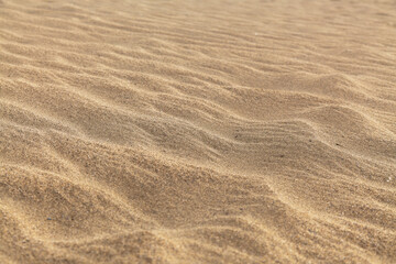 natural sand pattern created by wind blowing differently sized and colored particles