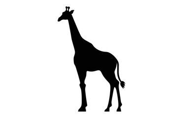 Giraffe Silhouette Vector art isolated on a white background