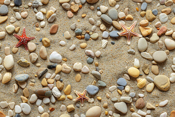 Up view photo of sand beach filled with different stones, pebbles, shells and starfish, natural background