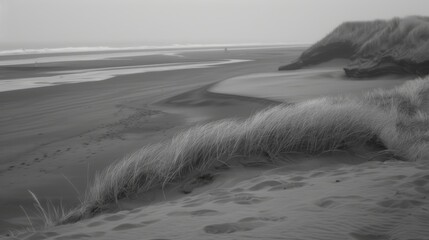 A serene black and white photograph capturing the calm and extensive expanse of a misty beach with gently curving sandy dunes and sparse vegetation © aicandy