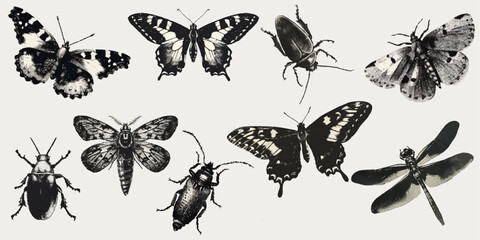 Butterfly, beetle, caterpillar, dragonfly with a photocopy effect. Y2K style grit. Retro texture for décor, collages of posters, banners, prints. 