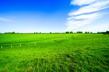 Landscape on the Bislicher Insel near Xanten in the Wesel district. Nature reserve on the floodplain landscape on the Lower Rhine.
