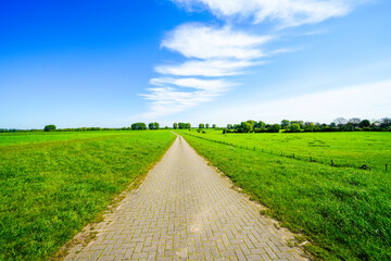 Landscape on the Bislicher Insel near Xanten in the Wesel district. Nature reserve on the floodplain landscape on the Lower Rhine.
