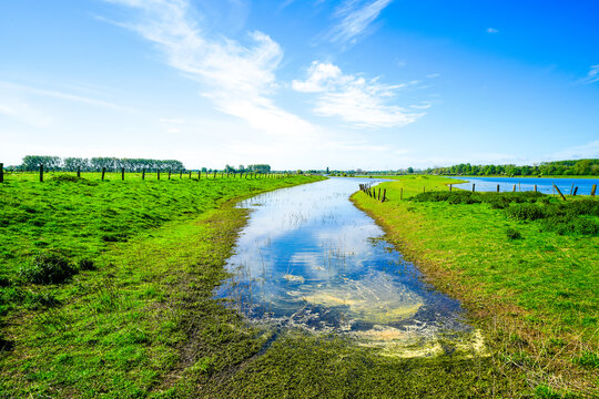 Landscape on the Bislicher Insel near Xanten in the Wesel district. Nature reserve on the floodplain landscape on the Lower Rhine.
