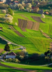 Spring landscape with blossom trees on a green meadows. Fresh country in Hrinova, Podpolanie region Slovakia, Europe. © Ivan