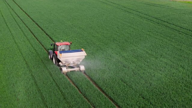Fertilizers and herbicides for agriculture. Tractor spreading agricultural lime as a soil additive in weat field 