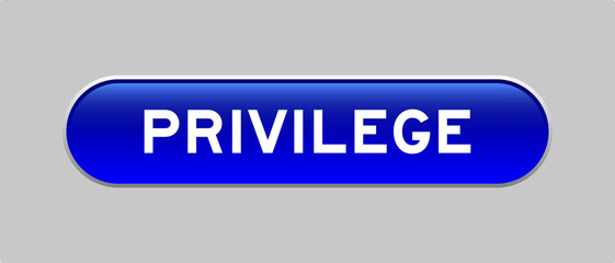 Blue color capsule shape button with word privilege on gray background