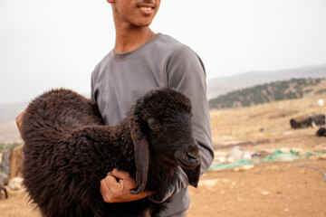young arabian teenager holding small sheep feeling happy and thanking God for his givings in desert