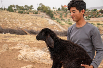 young arabian male holding black sheep in his hand with cheerful look on his face feeling happy in...