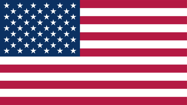 Original American Flag Vector Illustration on White Background