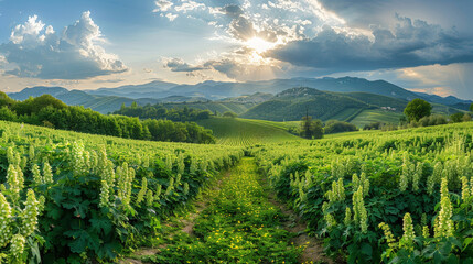Naklejka premium A green field stretches out with mountains towering in the background under a clear blue sky. The field is lush and vibrant, contrasting with the rugged peaks in the distance