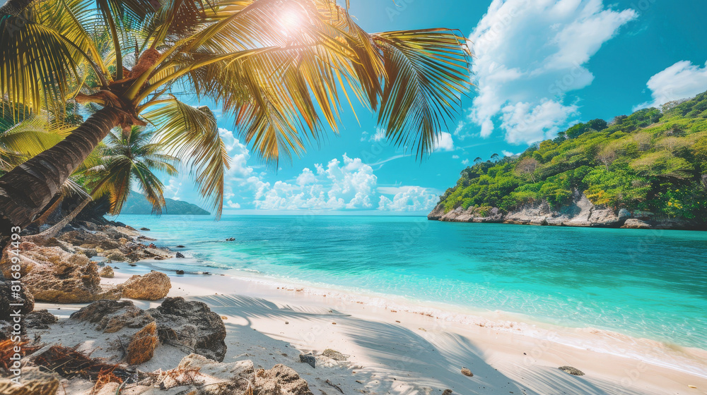 Poster a tropical beach with palm trees and golden sand under a clear blue sky. the palm trees sway gently 