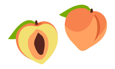 Set of peaches in color, whole and in section. Bright colors, detailed texture realistic shading of fruits with leaves. Vector illustration in a pair. Colored delicate fruits are isolated on a white