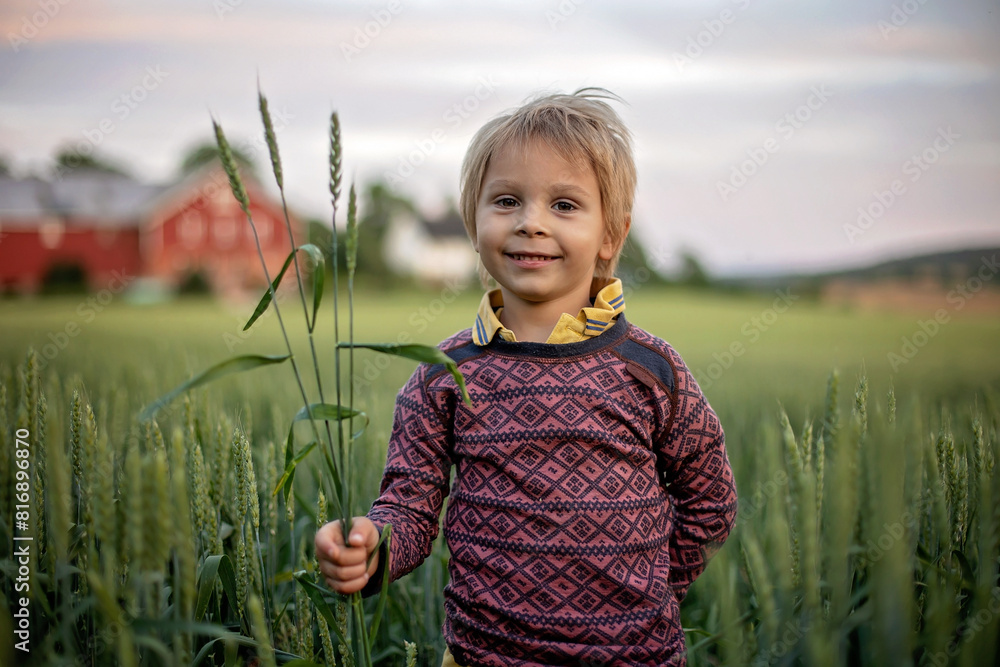 Poster Cute toddler child, playing in a green field in Norway on sunset, happiness