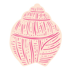 Seashells hand drawn