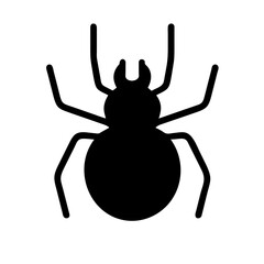 spider isolated