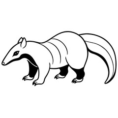 Anteater