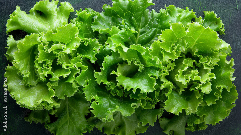 Poster A cluster of fresh green lettuce leaves is neatly arranged on a smooth black surface. The vibrant color contrasts sharply with the dark background, creating a striking visual impact
