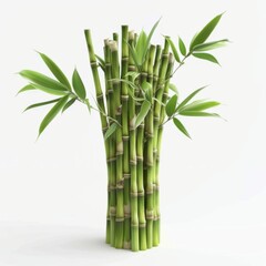 Naklejka premium Collection of bamboo stems arranged in a vase against a white background