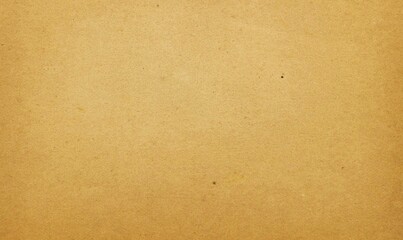 This textured paper parchment is dated 1513 from Ireland, with grungy apache and vintage sand brown colours. Features a grimy antique paper document and the image has no people.