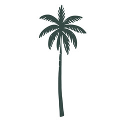  Palm tree
