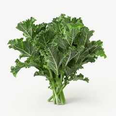Fototapeta premium A bunch of kale displayed on a plain white background