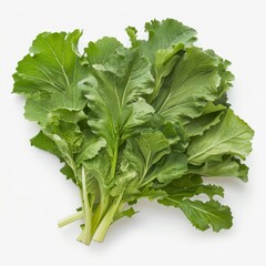 Fototapeta premium Bok choy leaves arranged on a clean white background for design purposes