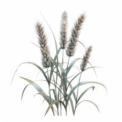 Fototapeta premium Watercolor painting depicting grass on a white background