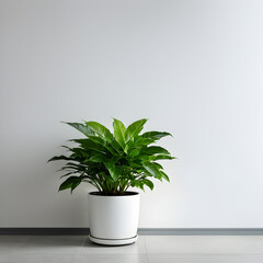 Fototapeta premium a white wall with a plant in the corner of it