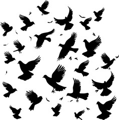 Set of birds vector icons scattered on transparent background.