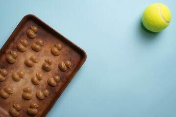 Beef broth and apple dog treats, stoneware pan, blue background, yellow ball.