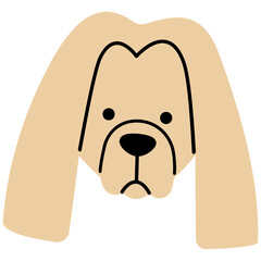 Afghan Hound head cute, png illustration.