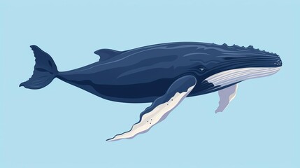Obraz premium Sparse humpback whale breach flat design top view ocean giant theme animation Complementary Color Scheme